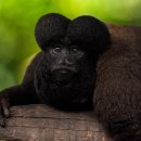 우림농장 이미지