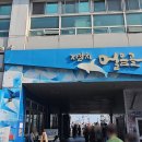 용호상회 네이버블로그