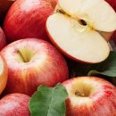 늘푸른 축산 이미지