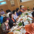 중앙회집 이미지