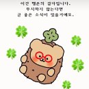 (주)세경한우 | [2月] 뽀짝뽀용 저요오드식꒰⍥꒱ ༘* | 신지록신이 그리워진 일상