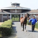 우승목장2 이미지