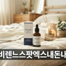 상림크리에이티브성수동지점 | 너무 착한데 전시, 2026년 버전 직접 다녀온 솔직 후기