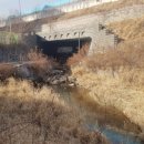 아래쇠죽골천 이미지