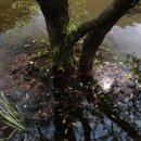 봉암동015 이미지