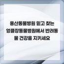 이웃집 동물병원 | 용산동물병원 믿고 찾는 엉클장동물병원에서 반려동물 건강을 지키세요