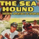 프리지아 B 이미지