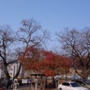 구성도서관 이미지