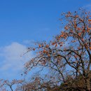 은빛세상 이미지