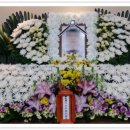 1695 Daum카페