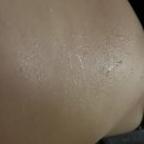 웰니스클럽 | 문래동다이어트 아실리아 웰니스 다이어트클럽 내돈내산 등록 후기
