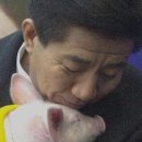 돼지저금통 티스토리
