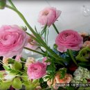 두암초등학교 이미지