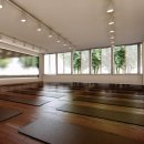 다니엘짐 이미지