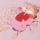 오렌지 농장 이미지