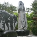 장전제 티스토리