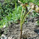 사선대농장 이미지