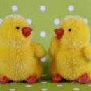 나는 코딩왕 이미지