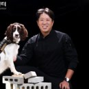 한국특수탐지견센터 이미지