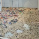 입장-11 | 천안아산 아기랑카페 타타스키즈카페 솔직후기 (11개월까지 무료입장👶🏻 / 수유실O, 기저귀갈이대O)