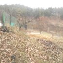 서구-02-24 이미지