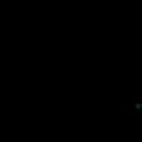 제주 천제연 난대림 이미지