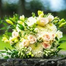 홈스위트홈 이미지