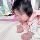 퀀터스 퀀트 투자 : 자동매매 솔직 후기 (느낀 점 + 수익률 공개)
