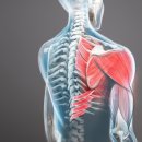 평안정형외과의원 이미지