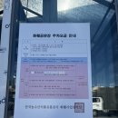 양재화훼공판장 친구돈친구산 미니분재 후기