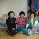 대동장 이미지