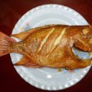 오늘의 생선 이미지