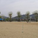 무을초등학교 Daum카페