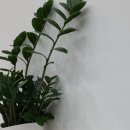 충무공 동물약국 이미지