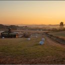 공룡목장 이미지