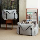 토토애견 이미지