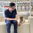 사랑으로 동물병원 | 광주 산정동 동물병원 노령견 수술, 편안하고 건강한 노후를 위해 꼭 알아두셔야 할 2가지