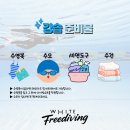 경남화이트 | 경남 창원 프리다이빙 찾는다면? 화이트 프리다이빙에서 일일 강습 체험후기