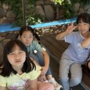 경희대 연호 태권도 이미지