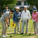 파크골프 이미지