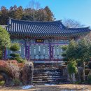 정남진 편백숲 우드랜드 이미지