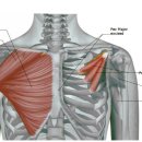 디클리셰 이미지