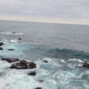 동해~애 이미지