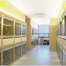 고잔유치원 이미지