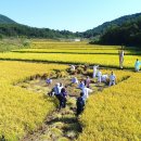 고성농요 기획공연 오마이뉴스