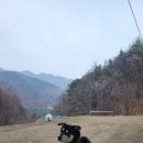 화목한의원 | 친환경,무농약,유기농 명이나물,유기농 산마늘,명이장아찌,산에 산마늘농원,옆지기와 한의원 다녀와 ...