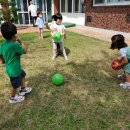 신성마을회관 이미지