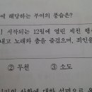 부천검정고시학원 와이제이학원 합격자들의 대학 진학상황 이미지