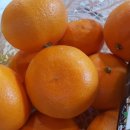 김찬우농장 이미지