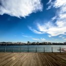 그늘막82 이미지